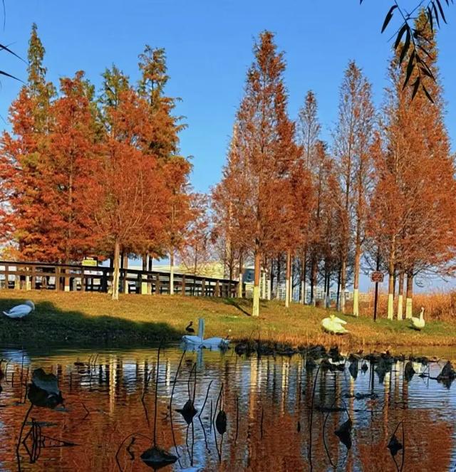 郑州冬天超适合野趣遛娃的6个好去处→