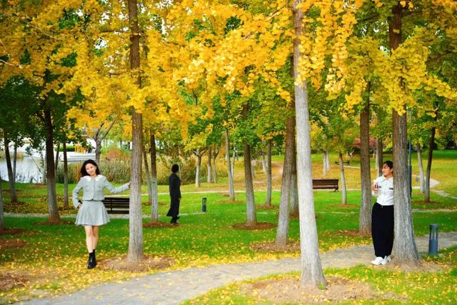 绝美！走，打卡去！