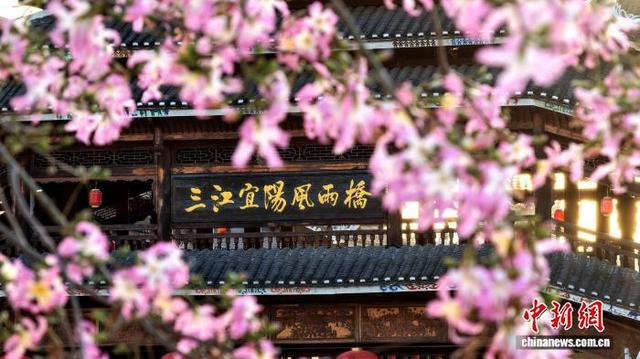 广西三江侗乡：花映廊桥美如画