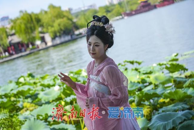 一年四季 泉在济南丨初秋荷韵醉游人