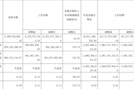 赛轮轮胎：2023年前三季度净利润20.25亿元 同比增长90.14%图片