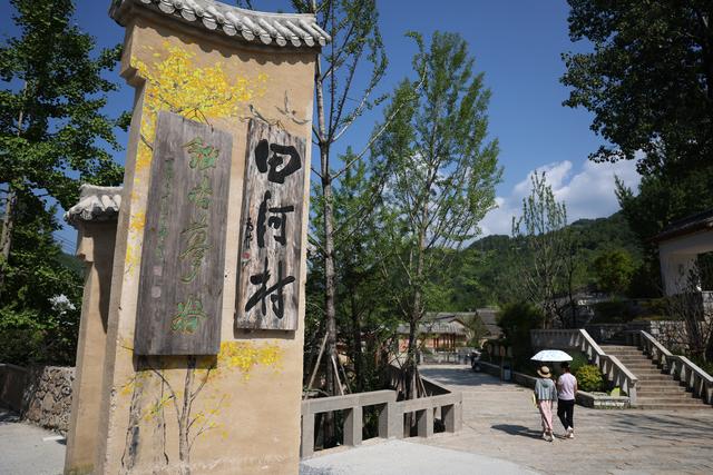 新华全媒＋｜嘉陵江畔千年银杏唤醒古村文旅新篇