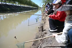 吉镜头｜“稻花香里说丰年”网络主题活动之德惠、磐石——畅享丰收之旅图片