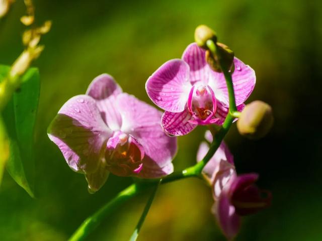 这么近，那么美！