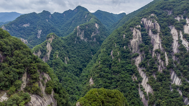 “我想离开浪浪山”，去神都洛阳看一看