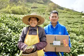 好快！信阳春茶“通”达全国图片