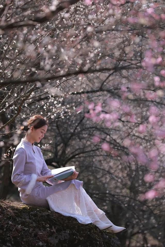 盛花期！这波“梅”景太出片，是谁拍到了啦