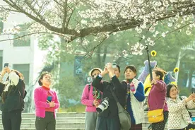 春风拂花蕊 醉了龙王山图片