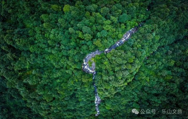 处暑遇“秋老虎”？来乐山踏入26℃的天然空调房！