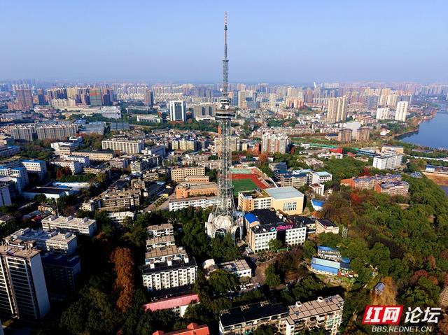 长沙人的周末：去烈士公园赴一场秋冬之约