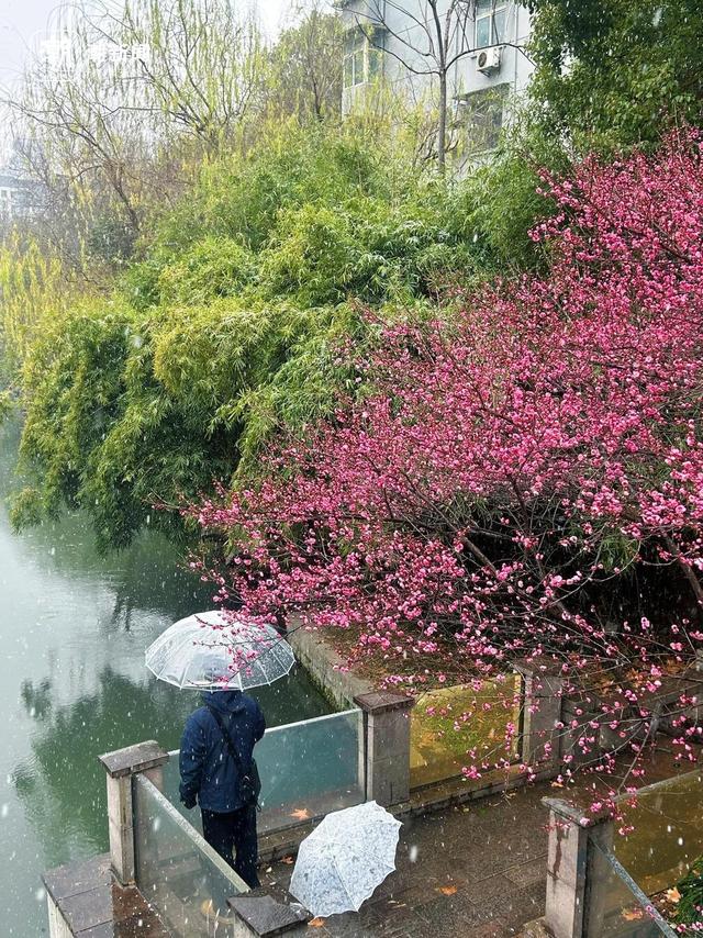 春节浙江人去哪玩？分享你的独家年味，赢潮新闻独家展示位