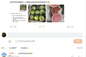 AI挑西瓜火了！保甜吗？记者实测→图片
