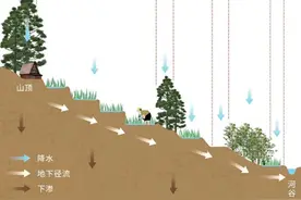 山顶没水库，哈尼梯田为何不缺水？（世界遗产中的生态观照）图片