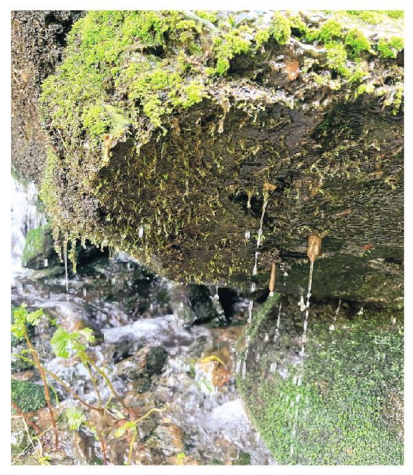 临桂白马村瀑布：抽刀断水水更流