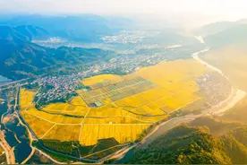 以“多田套合”助力现代化农业实现新“丰”景——全省土地综合整治（多田套合工程）一季度现场会在临安召开图片