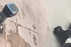 与汽车迎面相撞，女子卷入车底惨遭碾压！现场一摊血迹……图片