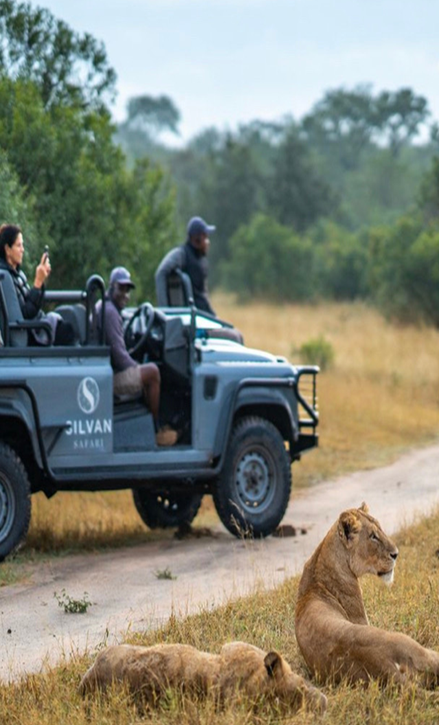 南非暖冬・野奢大年｜与天乐同行，在非洲暖阳里解锁新春新境