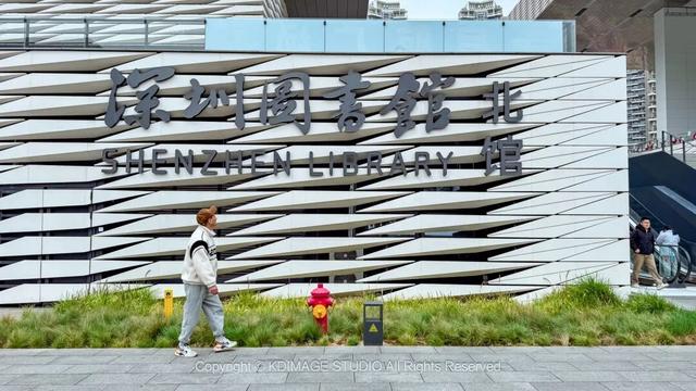 ​别再说深圳是文化沙漠！这份双馆暴走攻略，让你重新认识这座城市