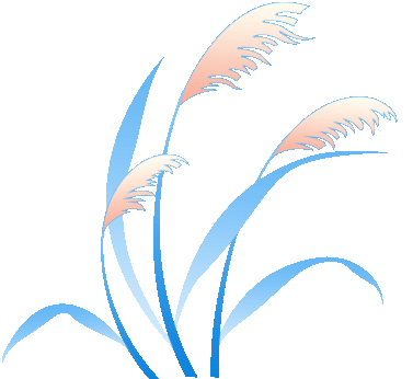 省级名单，威海榜上有名！