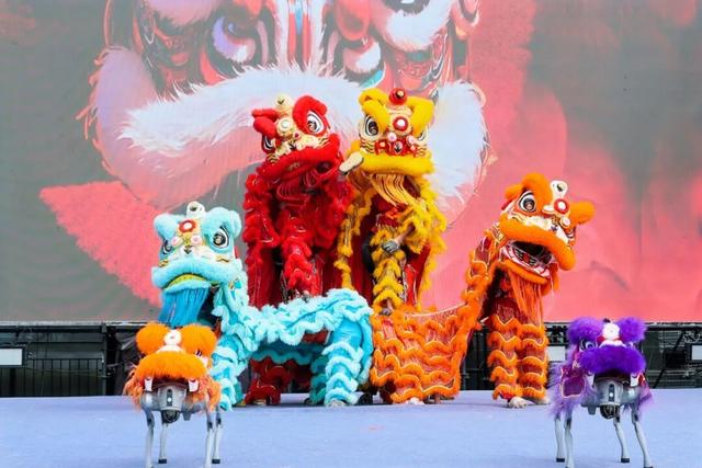 机器人炫技“点亮”科技嘉年华！“鹊华智启·燃动奇械”机器人主题活动精彩举行