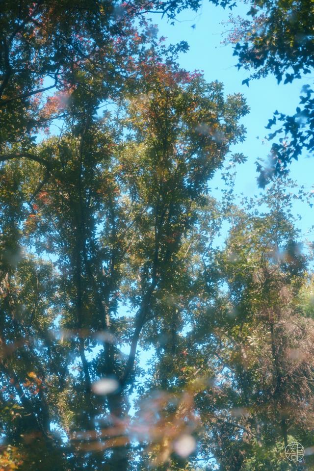 人少景美不绕路，东湖秋日彩蛋上新