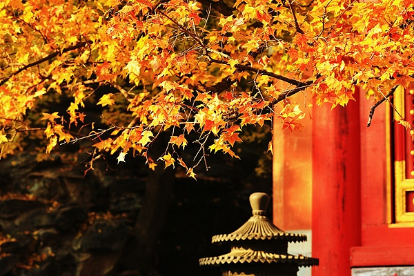 红透了！你还不去吗？