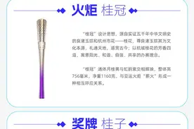 图解丨一图了解杭州亚残运会图片