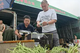 长沙人菜篮子四季常鲜，是怎么做到的？| 山水洲城记图片