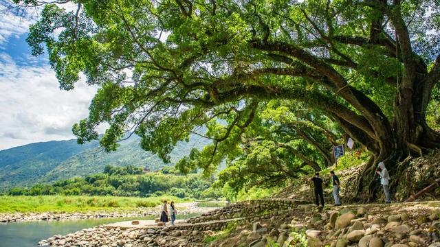 后劲太大！我们收集了外地人眼中福州的100个心动理由……