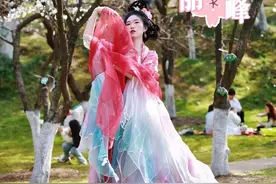 恰恰好！青山樱花冲上美丽巅峰图片