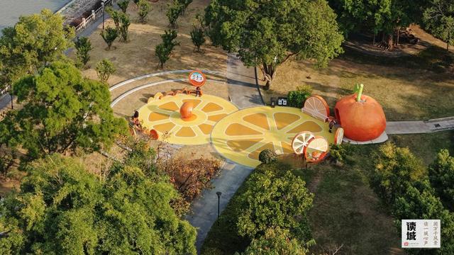 读城｜闽江两岸橘子红了，那是福州的冬日乡愁