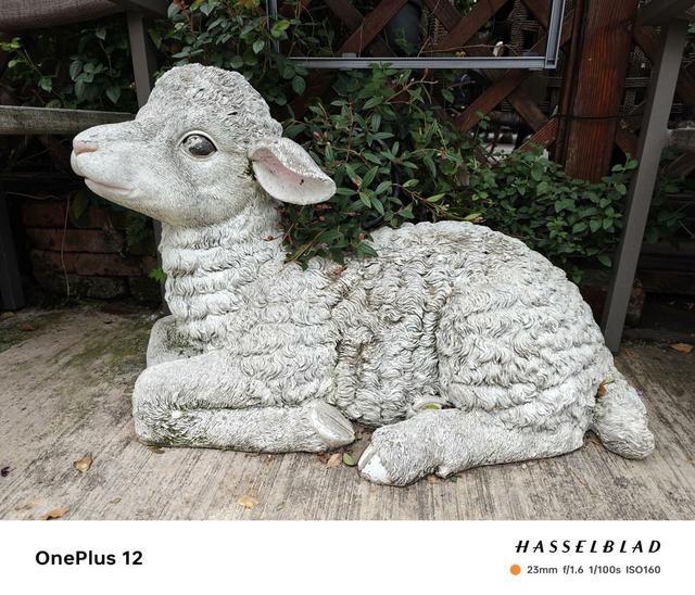 ��ԽPro����ȫ����ˮͰ�콢��һ��12����