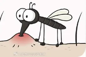 孩子被蚊子咬了特别大的包，应该怎么办？图片