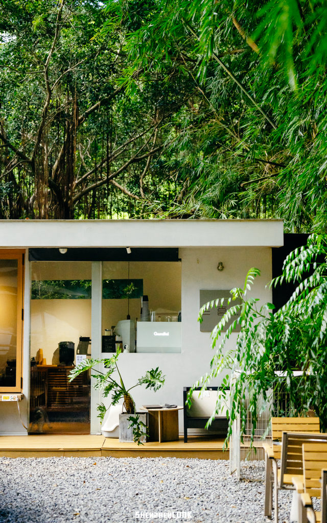 深圳湾的夜景再次升级 · 周末游玩指南