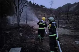 一把火，损失约40万！村民被警察带走图片