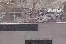 雪落长安 一起欣赏西安“高性价比”雪景！图片