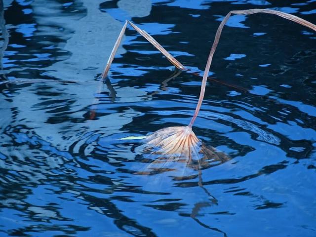 别宅啦！闵行的冬日浪漫，从艺术馆到公园都给你安排好了→