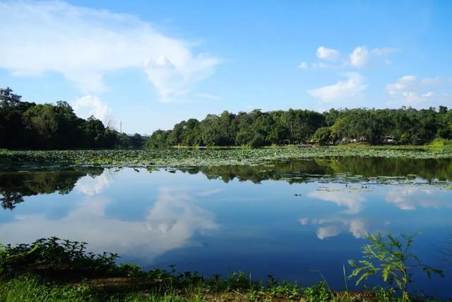 勇敢者的游戏！丛林穿越大冒险，真人CS对抗战免费玩！就在这里→