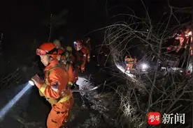 雅江“3.15”森林火灾1号火场明火已扑灭，森林消防员悬崖逆行图片