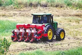 荆州区夏收全面完成图片