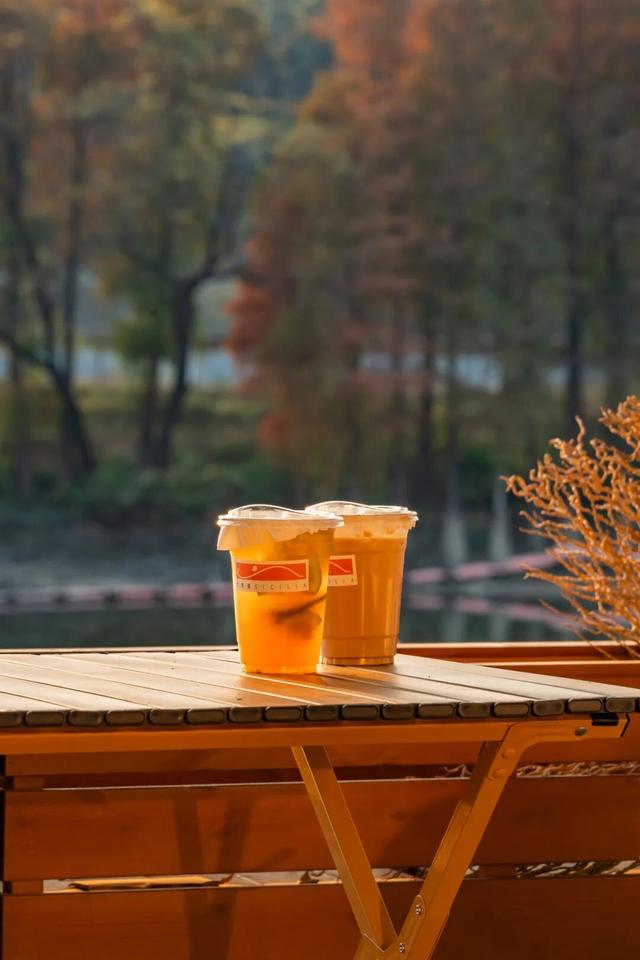 里水落羽杉红了！这些打卡点最出片→