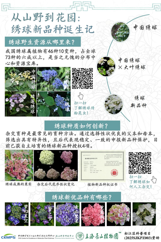 植物+科技会碰撞出怎样的火花？辰山科普节周六开幕，看科技如何赋能绿色生活