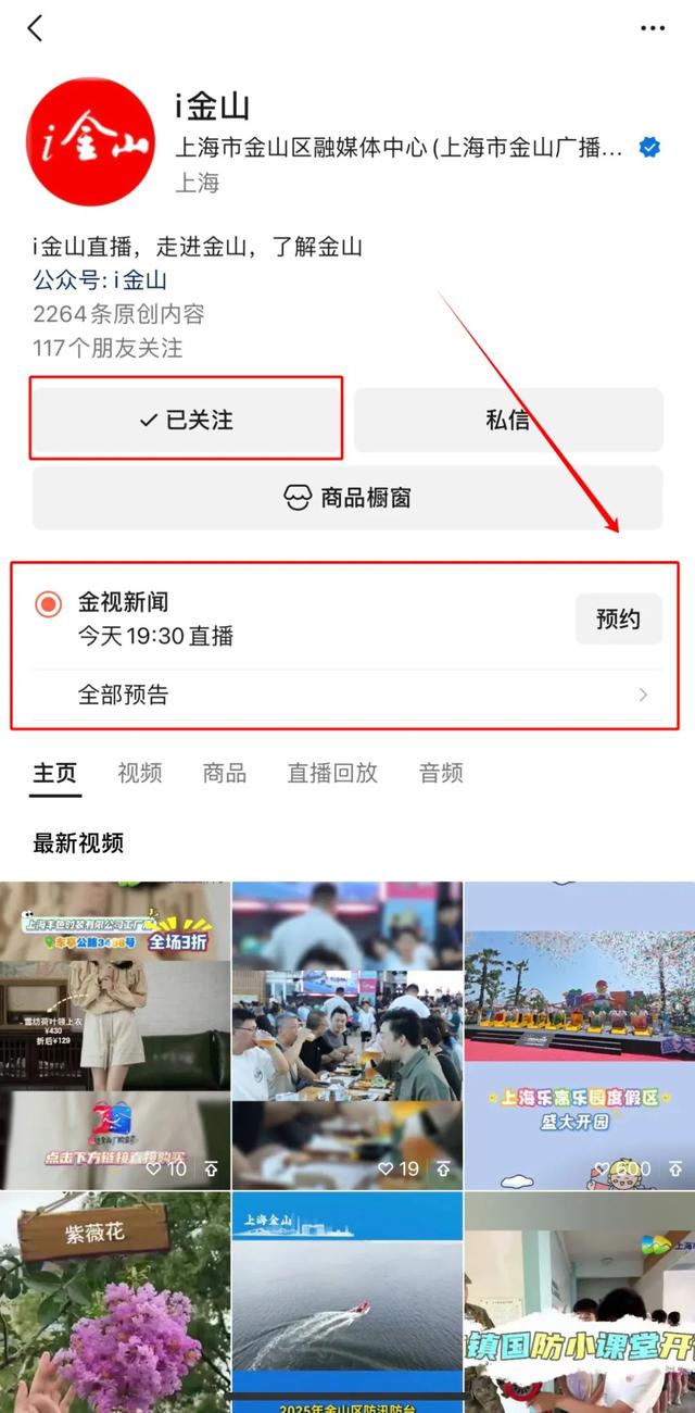 好消息！《金视新闻》能直播+回看啦
