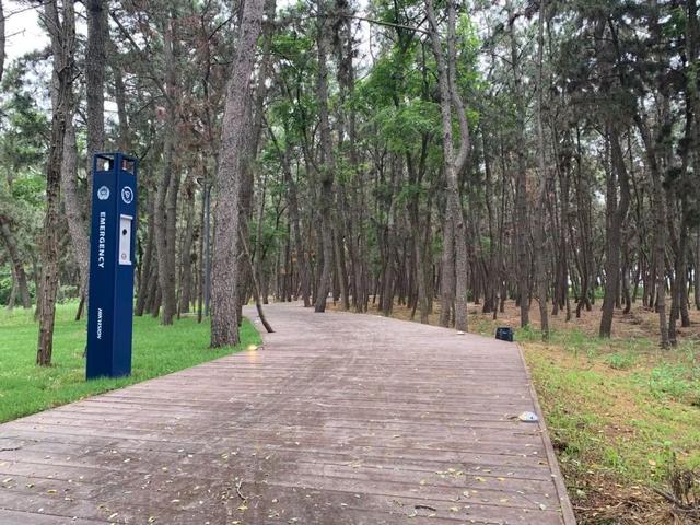 海风开道，秋色伴跑！威海喊你“动起来”~