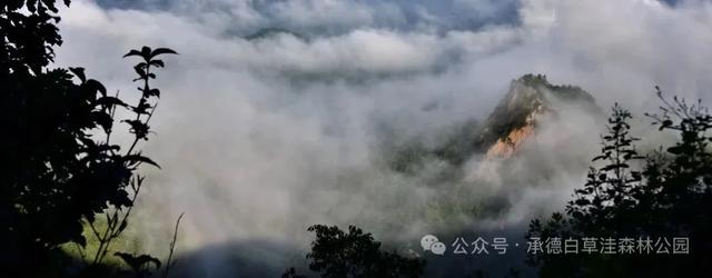金山岭长城景区、兴隆红河漂流景区、兴隆山景区、白草洼国家森林公园恢复开园公告