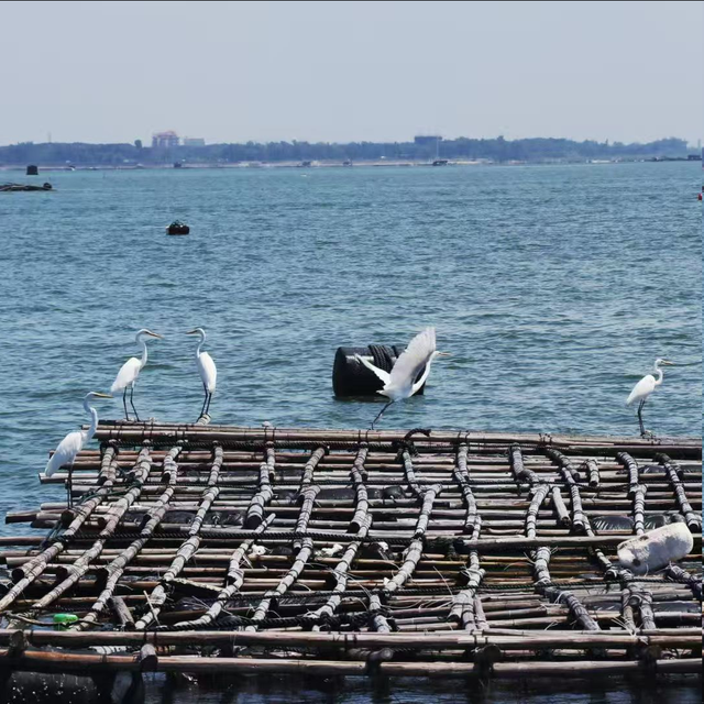 跟着赛事去旅行 | 中越界河风景区：走进自然与城市和谐共生的美丽画卷