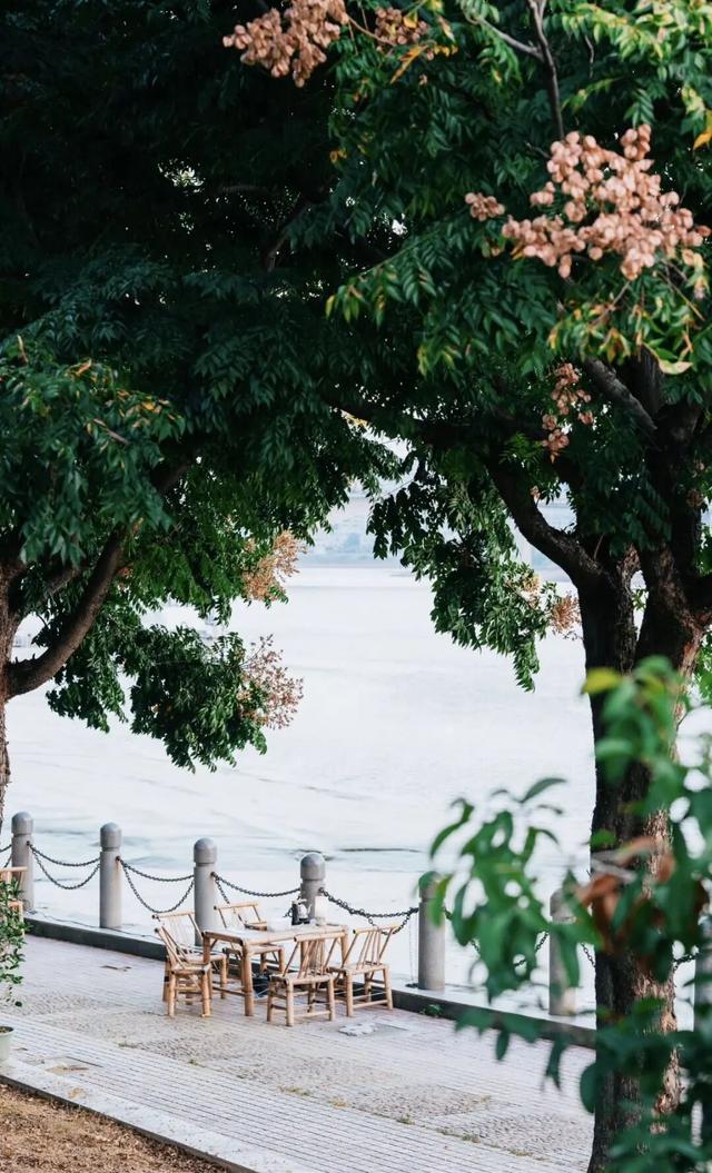 福州秋日限定浪漫已送达，附打卡点位→