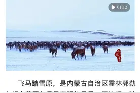 聚焦霍林郭勒 ⑬ | 多家媒体报道《内蒙古霍林郭勒：骏马驰骋冬日草原》图片