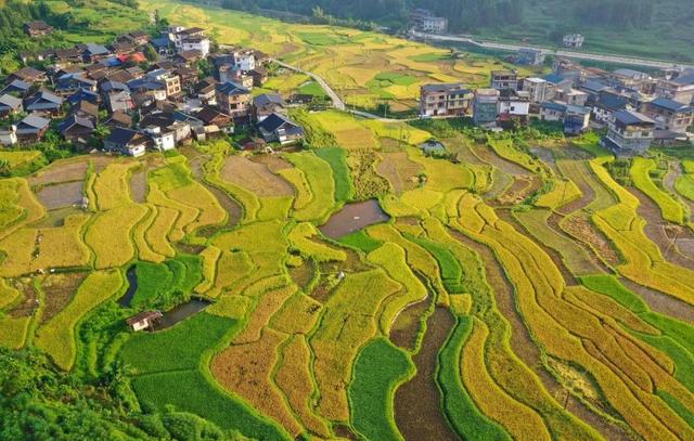 高清壁纸丨苗寨梯田“丰”景美