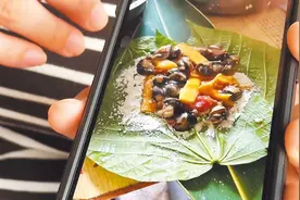 台媒：台东“小米粽”食物中毒事件已致3死，台卫生部门检出剧毒农药图片
